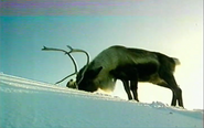 The Living Isles (1985)