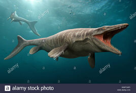 Tylosaurus-pembinensis-swimming-WMPCWR