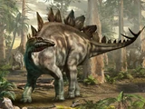 Stegosaurus
