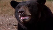 Escape to Witch Mountain (1975)
