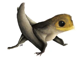 Liam-elward-anurognathus-final