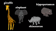 Giraffe, Elephant, Rhinoceros, and Hippopotamus