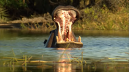 Predator Coast (2012)