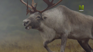 Wild Canadian Weather (2021)