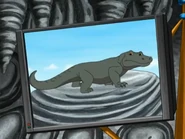 Go, Diego, Go! (2005-2011)