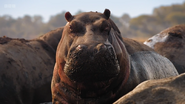 Mammals (2024)