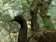 Land of Lost Monsters AKA Monsters We Met (2004)