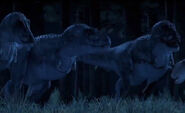 Secrets of the Dinosaur Mummy (2008)
