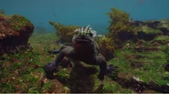 Galapagos: Nature's Wonderland (2014)