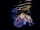 Hawaiian Bobtail Squid
