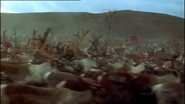 Weird Nature (2002)