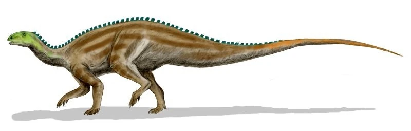 Tenontosaurus | NatureRules1 Wiki | Fandom