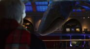Night at the Museum (2006)