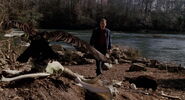 Big Fish (2003)