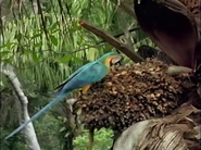 Gremlins: Faces in the Forest (1998)