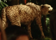 Night at the Museum (2006)