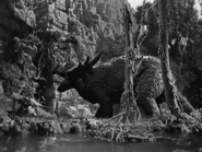 Son of Kong (1933)