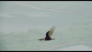 Treasure of the Amazon (1985)