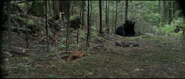Backcountry (2014)