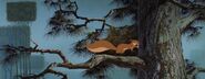 Sleeping Beauty (1959)