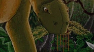 Apatosaurus