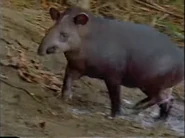 The Living Edens (1997-2003)