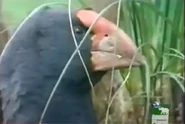 The Most Extreme (2002-2007)