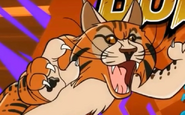 Turbo Fast (2013-2016)
