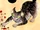 Bakeneko