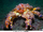 Puget Sound King Crab