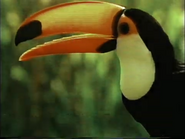 The Search for the World's Most Secret Animals (1989)