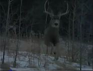 Hunters (1994)