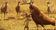 Open Season (2006)