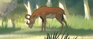Primal (2019-2022)