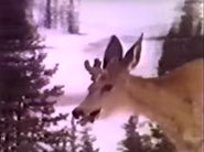 The Adventures of Frontier Fremont Deer