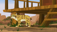 Wild Kratts (2011-)