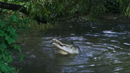 Australia's Ocean Odyssey (2020)