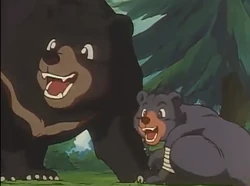 Asiatic Black Bear | NatureRules1 Wiki | Fandom