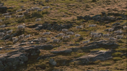 Planet Earth II (2016)
