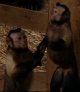Evan Almighty (2007)