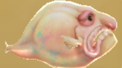 Blobfish, Animal Crossing Fan Wiki