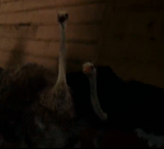 Evan Almighty (2007)