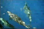 Incredible Journeys (1997)