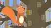 Eurasian Red Squirrel