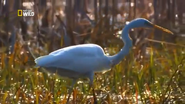 Danube: Europe's Amazon (2015)