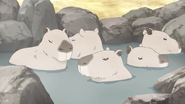Kawaisugi Crisis (2023)