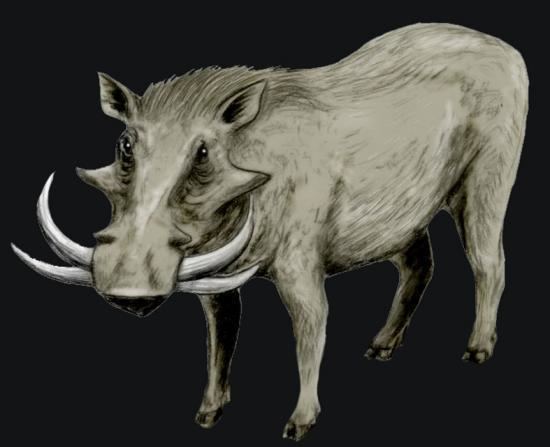 Metridiochoerus | NatureRules1 Wiki | Fandom
