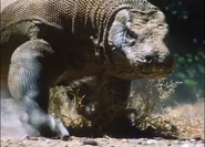 Nightmares of Nature (1995)