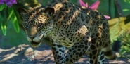 Planet Zoo: South America Pack (2020)