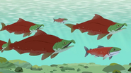 Wild Kratts (2011-)